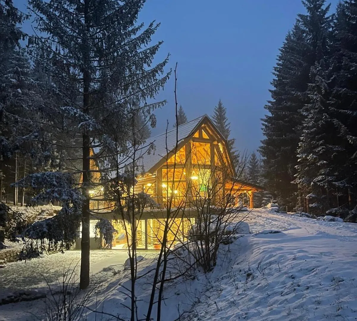 Villa Arka Ravna Gora
